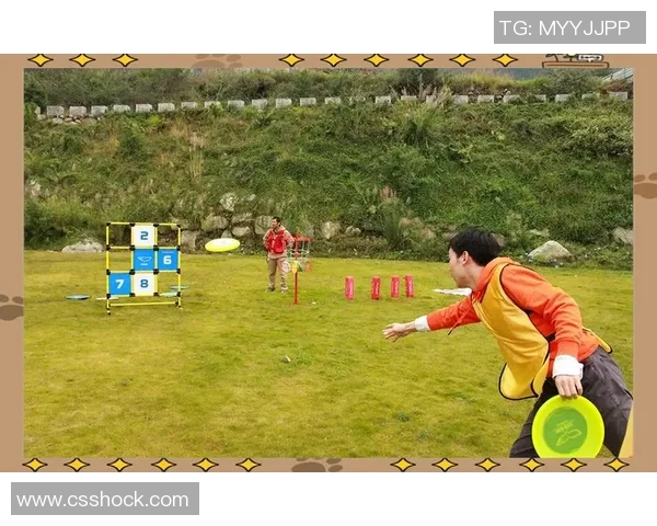 南京飞盘队的节奏与战术分析探索飞盘运动的魅力与团队协作