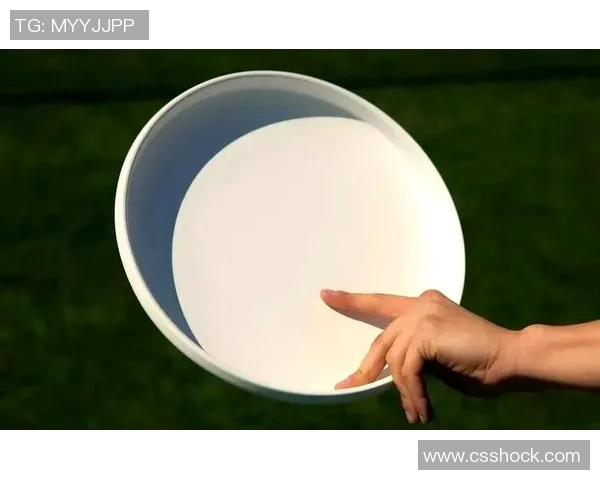 从零起步掌握飞盘比赛技巧与策略全解析 从零起步掌握飞盘比赛技巧与策略全解析