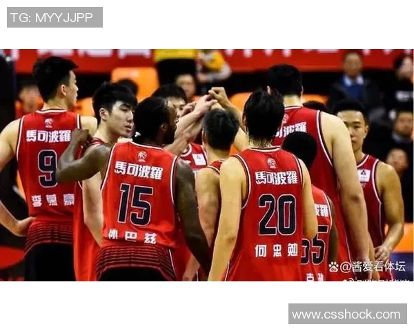 广东有几支CBA球队？地域篮球实力分析