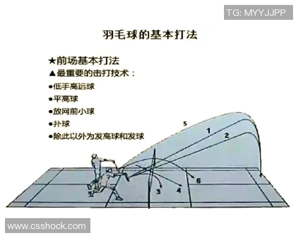 羽毛球焦点：深入分析上海羽毛球队的速度与战术运用