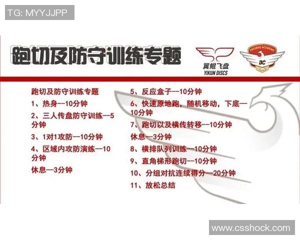 上海飞盘队区域防守创新之路探秘与战术解析